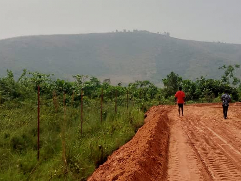 Vente 3 hectares et demi au bord de la rivière nsele très bon emplacement non loin de macadam