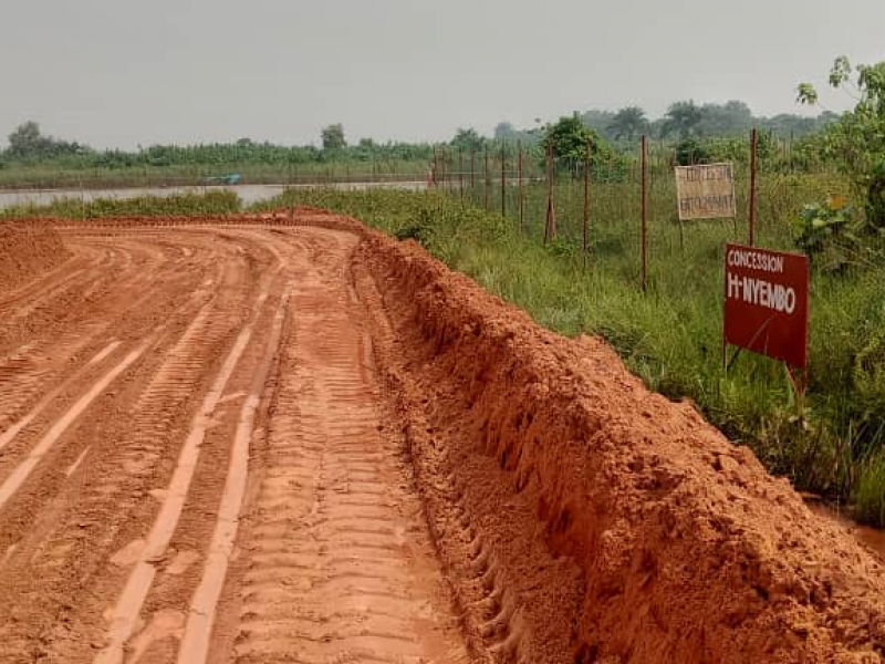 Vente 3 hectares et demi au bord de la rivière nsele très bon emplacement non loin de macadam