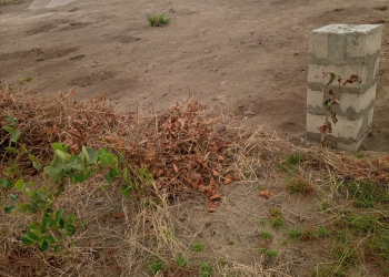 Des terrains mise en vente à Bibwa commune de la nsele 1500$,1300$